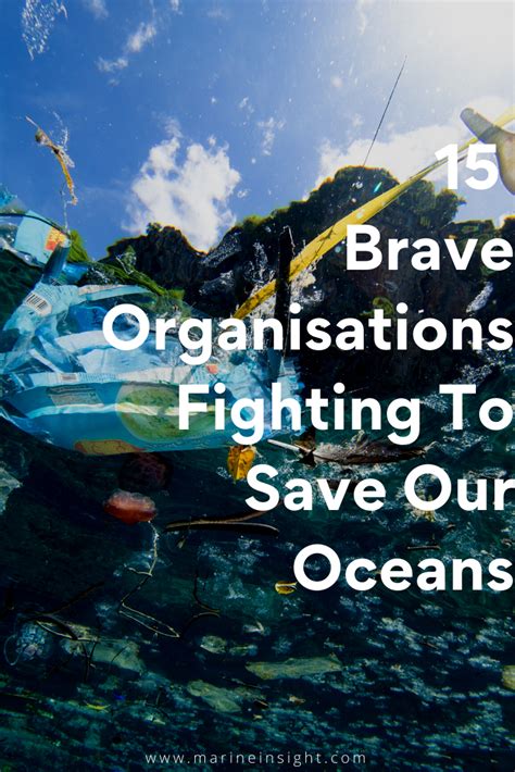 15 Brave Organisations Fighting To Save Our Oceans.